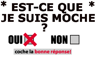 je sais ce que vs allez dire